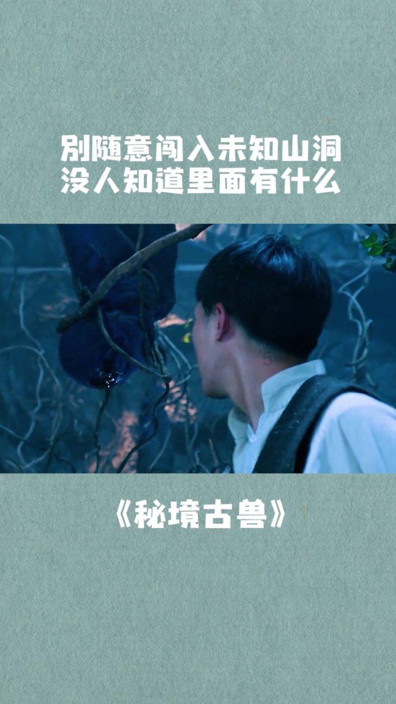 动物帮帮忙保卫家园