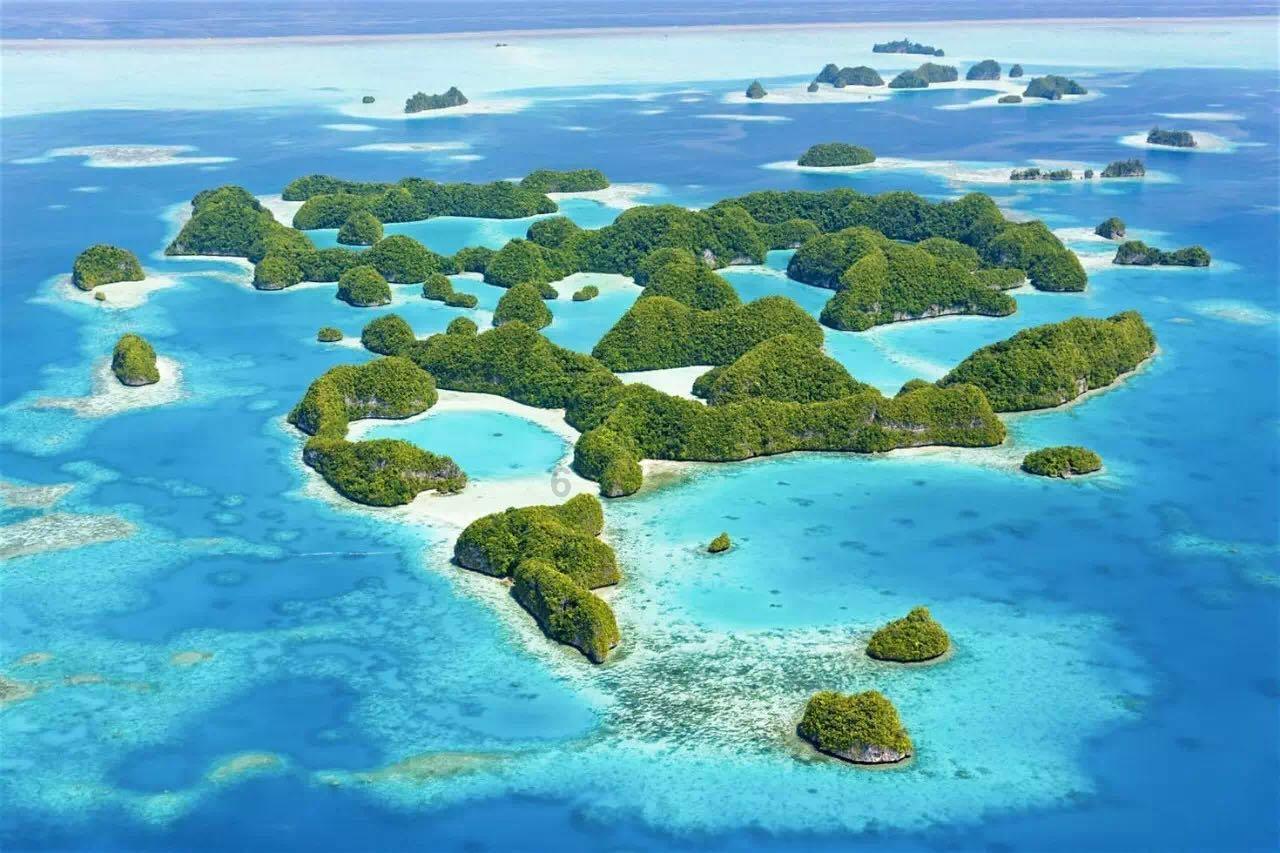 燃烧吧大脑免广告最新版