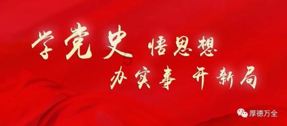 强大的狮子拼图