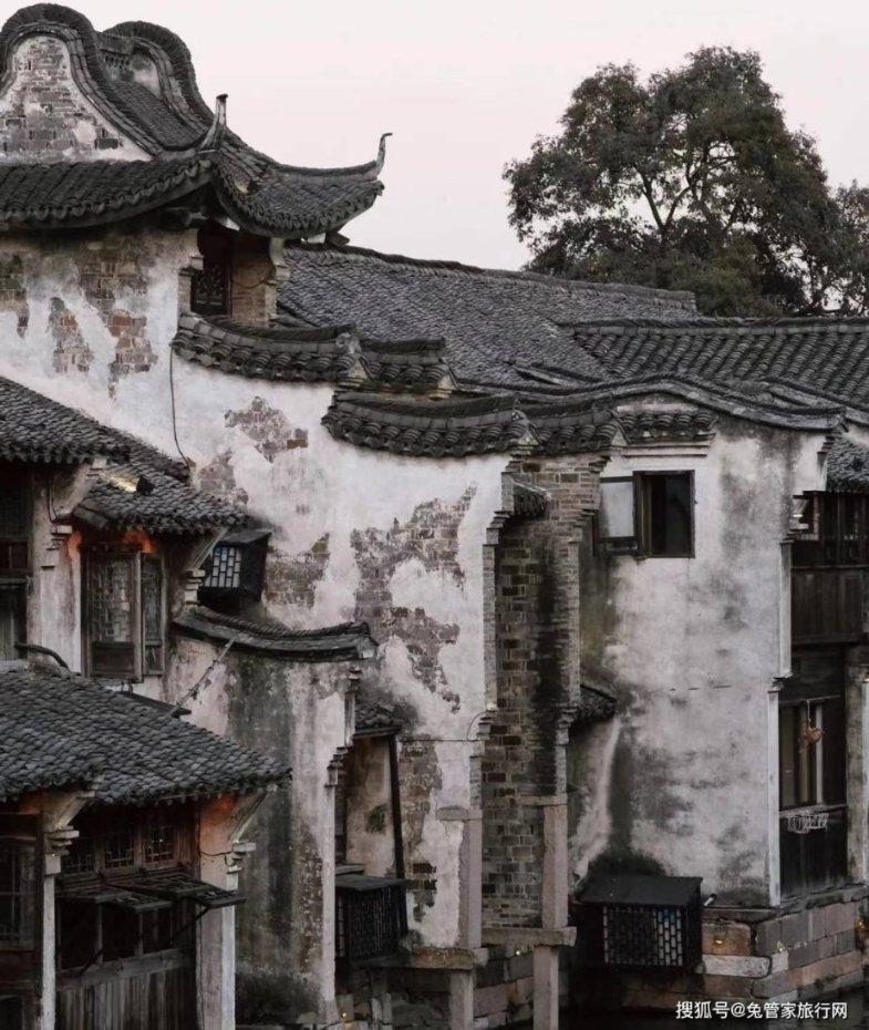 林心如点评谢娜，让观众看清她为人